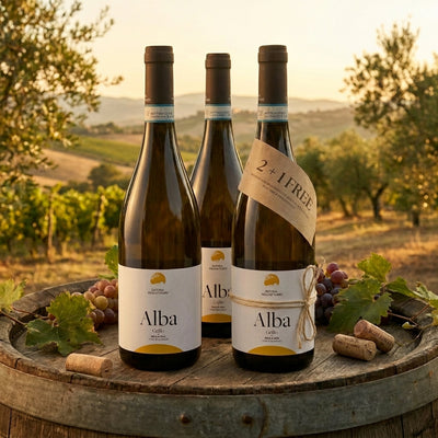 Bundle Esclusivo 2x3: Alba – Grillo DOC Sicilia Biologico