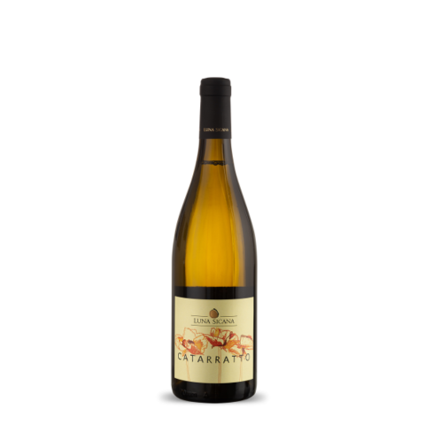 6 Bottles of Catarratto Wine DOC Sicilia Bio - Luna Sicana