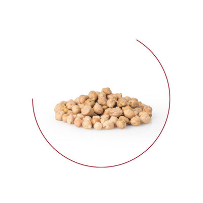 Sicilian white chickpeas from Leonforte - Terre di Chiesa