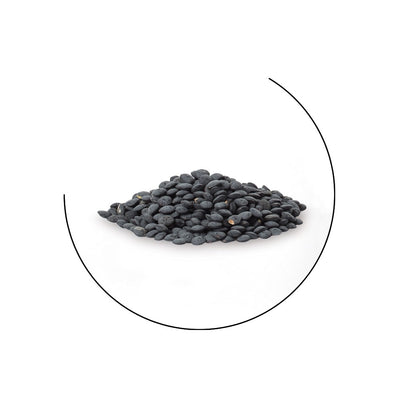 Sicilian Black Lentils from Leonforte - Terre di Chiesa