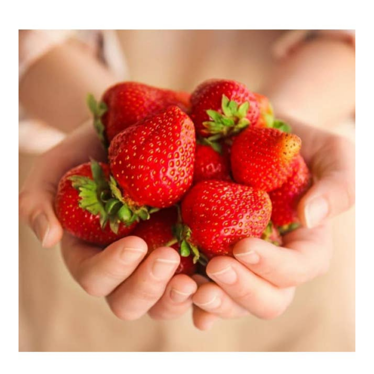 Sicilian Strawberry Nectar - F.lli Perricone