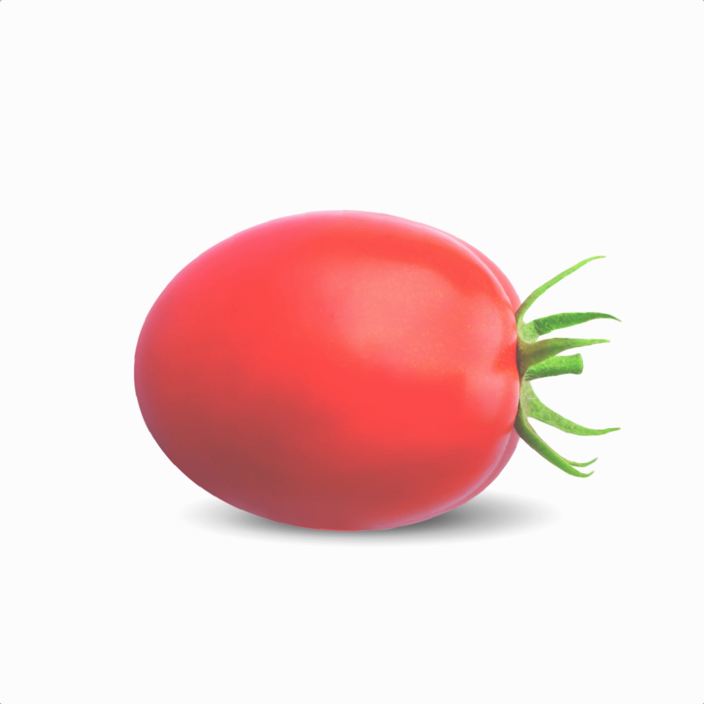 Passata di Pomodoro Siccagno Bio 410g - Libera Terra