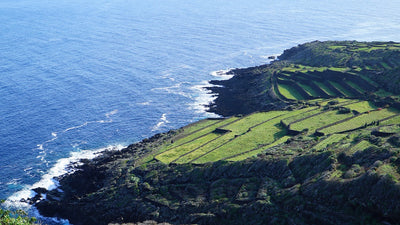 Un sorso di Pantelleria DOC