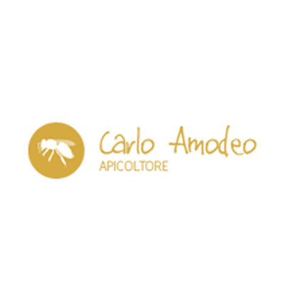 Carlo Amodeo