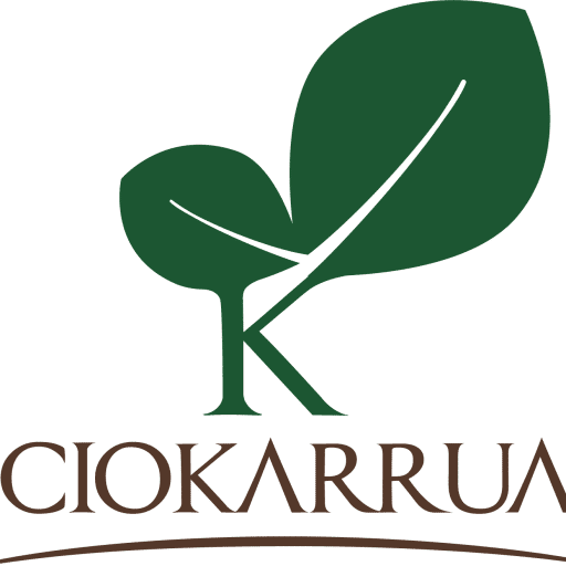 Ciokarrua