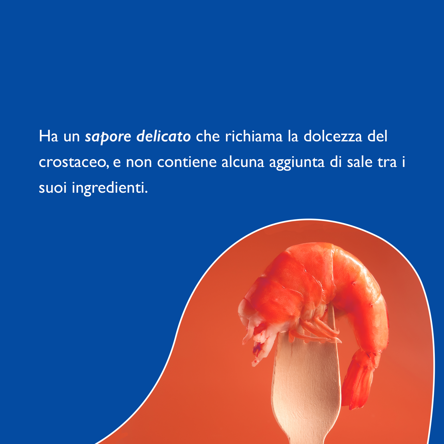 Gambero Rosso® sauce from Mazara del Vallo - Shrimp sauce