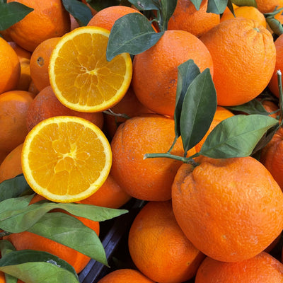 Oranges nombril blondes siciliennes à presser - Livraison gratuite - Iblagrumi